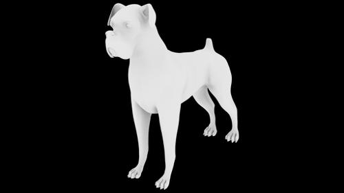 Boxer dog preview image